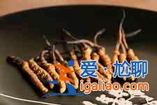 蟲草怎么吃最好？