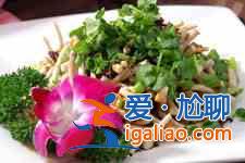 魚腥草的做法大全？