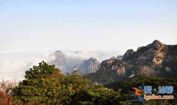 黃山四絕是什么？黃山有哪些奇石？？