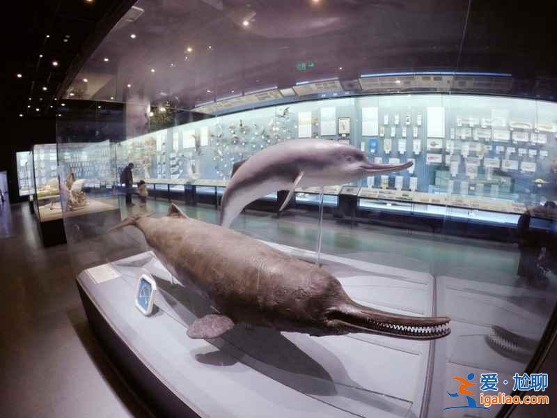 西湖文化廣場有幾個博物館，西湖文化廣場有哪些博物館，西湖文化廣場博物館值得去嗎？