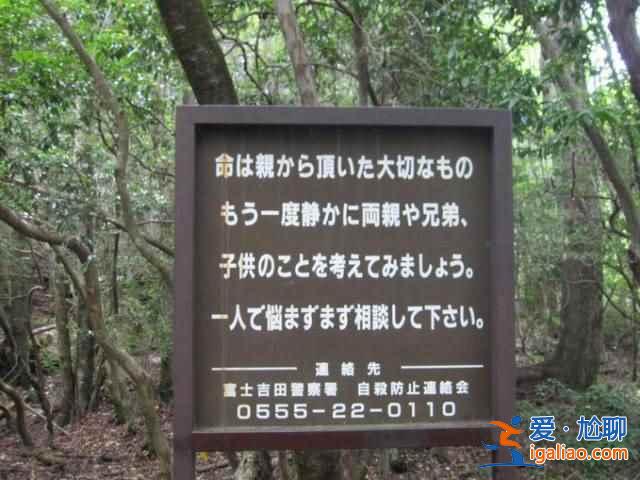 日本人死也不給人添麻煩,自殺都去一個地方? 日本人死也不給人添麻煩,自殺都去一個地方?
