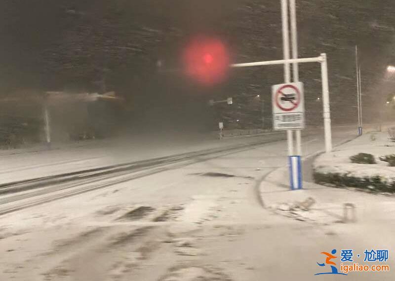 疫情下 大學生返鄉記? 疫情下 大學生返鄉記?