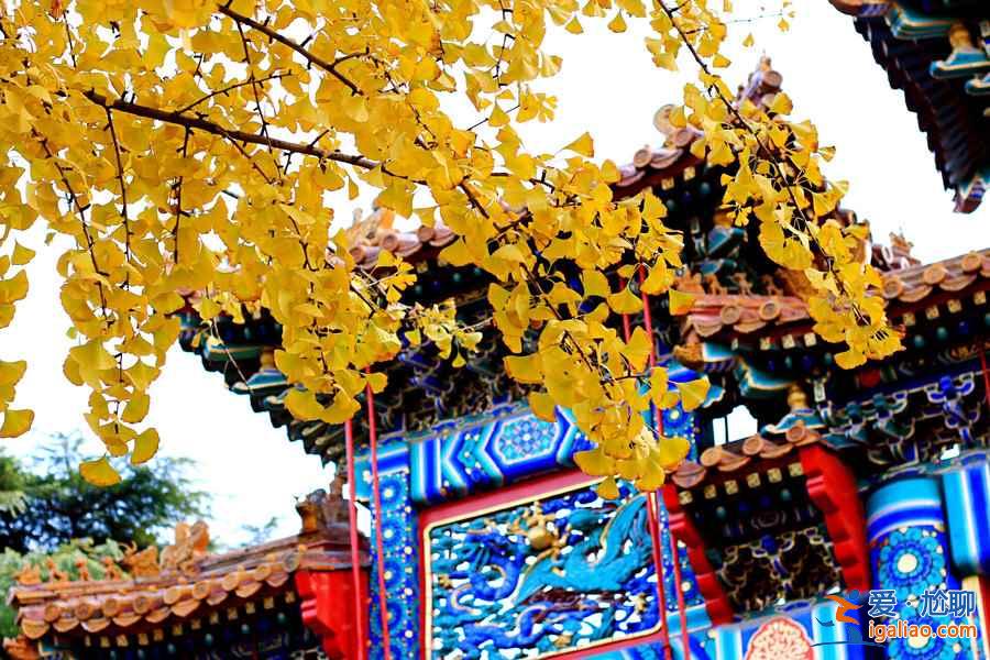 雍和宮燒香最佳時間,北京雍和宮開放時間? 雍和宮燒香最佳時間,北京雍和宮開放時間?