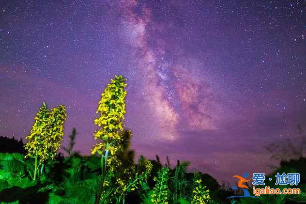 北京周邊看星星的地方，最美星空就在你身邊？