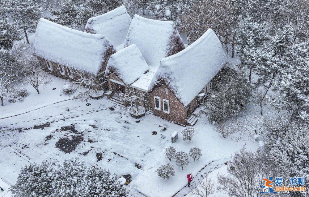 火鍋 安排嗎？今日大雪 進補的好時節……？