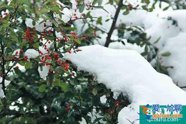 12月25日起云山國(guó)家森林公園受低溫雨雪天氣影響暫時(shí)閉園？