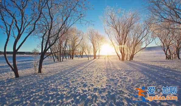 【中國看雪的地方】中國哪里看雪最美，中國看雪好去處？