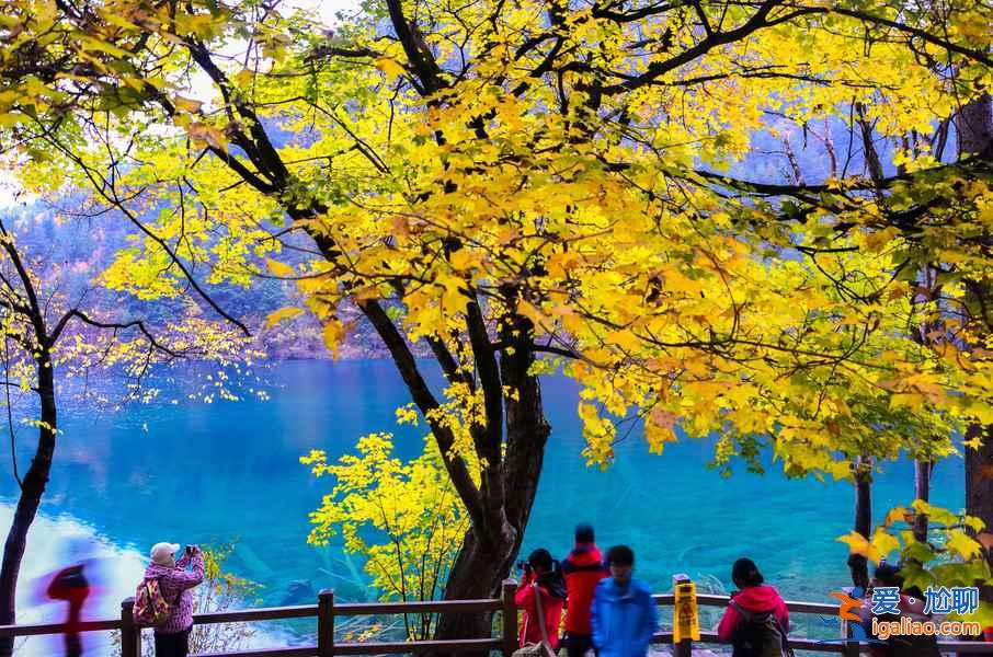 九寨溝離成都近還是重慶近，九寨溝在四川哪里？