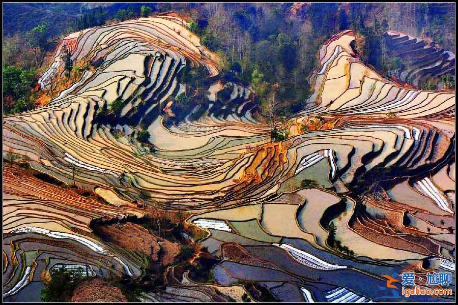 2018觀看元陽梯田最佳時(shí)間：什么時(shí)候去元陽看梯田最好？