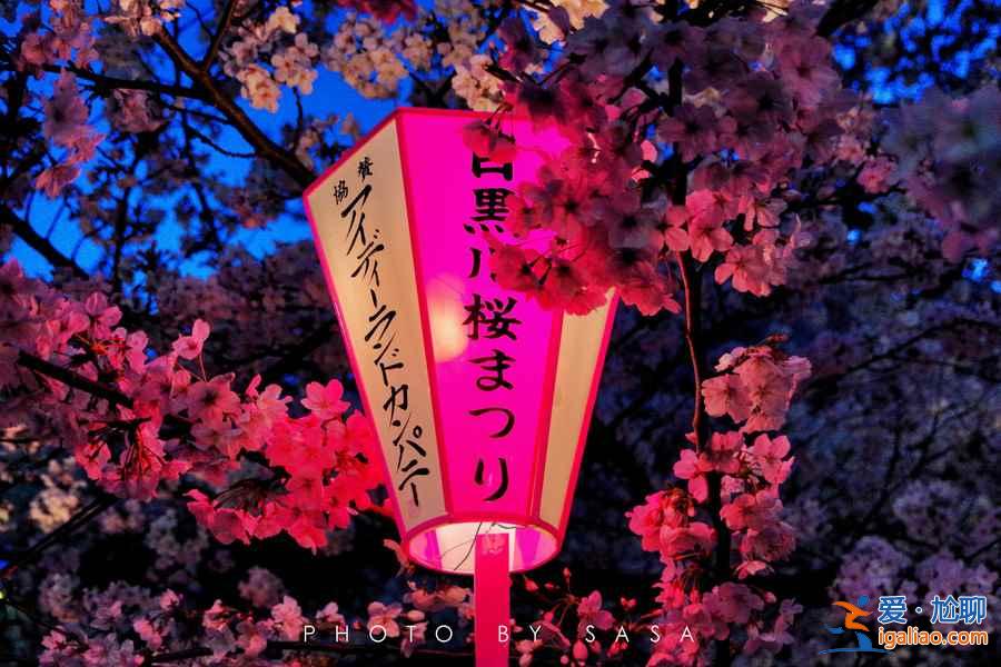 什么時候去日本便宜,幾月去日本旅游便宜? 什么時候去日本便宜,幾月去日本旅游便宜?