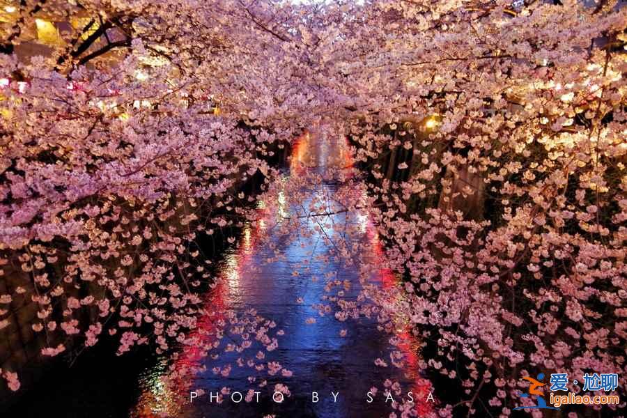 什么時候去日本便宜,幾月去日本旅游便宜? 什么時候去日本便宜,幾月去日本旅游便宜?