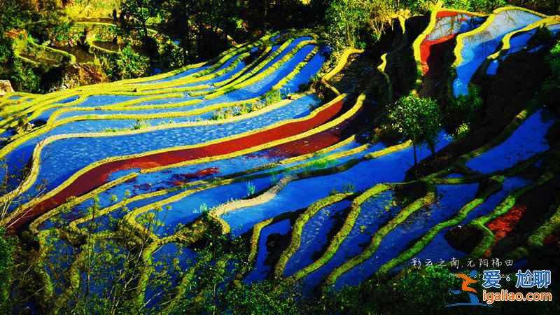 2018觀看元陽梯田最佳時(shí)間：什么時(shí)候去元陽看梯田最好？