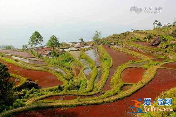 2018觀看元陽梯田最佳時(shí)間：什么時(shí)候去元陽看梯田最好？