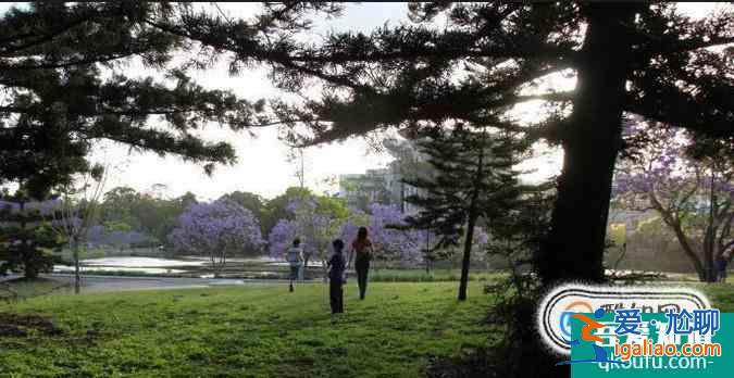 想要去澳洲留學，你還真得克服這些困難！？