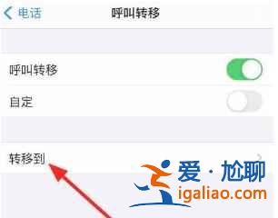 iphone12來(lái)電轉(zhuǎn)移如何設(shè)置？