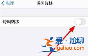 iphone12來(lái)電轉(zhuǎn)移如何設(shè)置？