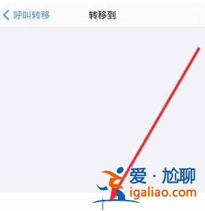 iphone12來(lái)電轉(zhuǎn)移如何設(shè)置？