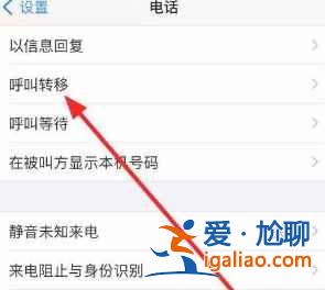 iphone12來(lái)電轉(zhuǎn)移如何設(shè)置？