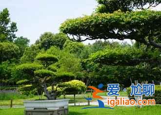 開封——一朝步入畫卷，一日夢回千年？