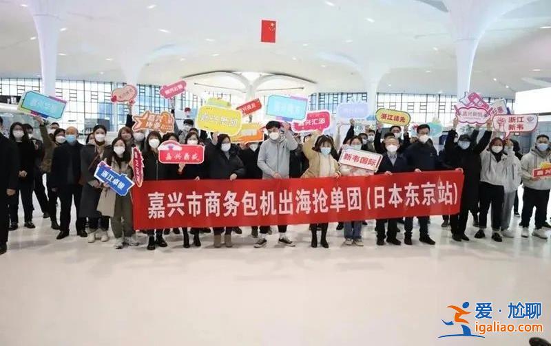 刷屏的蘇浙政府包機出國“搶訂單” 到底在搶什么？