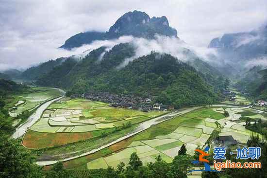 不能錯過的張家界魔幻奇景:重返《阿凡達》的搖籃? 不能錯過的張家界魔幻奇景:重返《阿凡達》的搖籃?