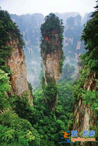 不能錯過的張家界魔幻奇景:重返《阿凡達》的搖籃? 不能錯過的張家界魔幻奇景:重返《阿凡達》的搖籃?