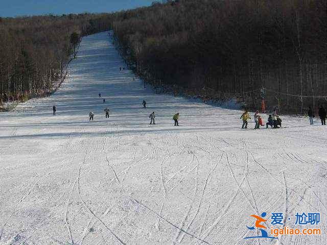 二龍山滑雪場跟其他滑雪場有什么不同，二龍山滑雪場與其他滑雪場相比有什么優勢，二龍山滑雪場有什么特點？