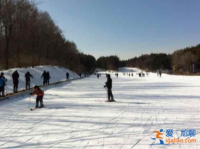 二龍山滑雪場跟其他滑雪場有什么不同，二龍山滑雪場與其他滑雪場相比有什么優勢，二龍山滑雪場有什么特點？