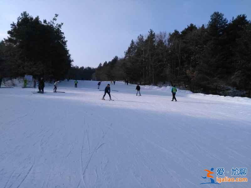 二龍山滑雪場跟其他滑雪場有什么不同，二龍山滑雪場與其他滑雪場相比有什么優勢，二龍山滑雪場有什么特點？