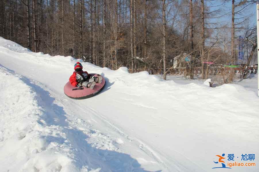 二龍山滑雪場跟其他滑雪場有什么不同，二龍山滑雪場與其他滑雪場相比有什么優勢，二龍山滑雪場有什么特點？