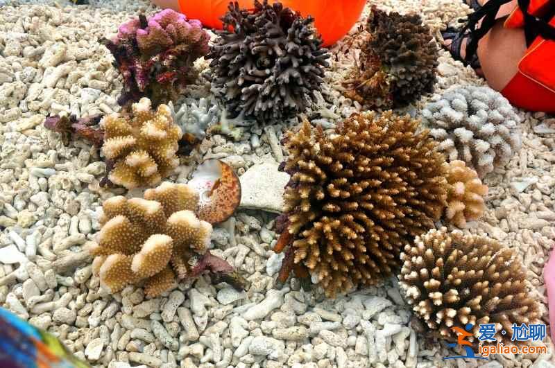 西沙群島在哪兒,西沙群島在哪個省,西沙群島地理位置? 西沙群島在哪兒,西沙群島在哪個省,西沙群島地理位置?