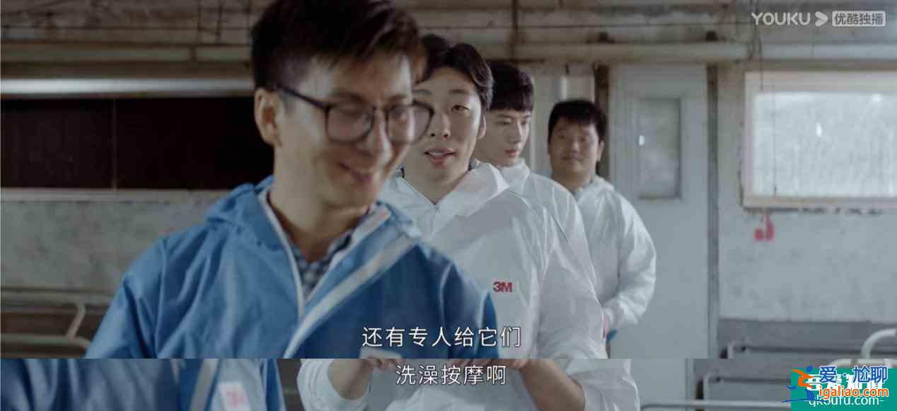 《平凡的榮耀》實習四人組隊下鄉啦！熱血又搞笑的少年團誰能不愛？