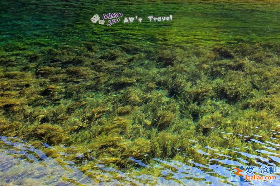 【九寨溝景點推薦】九寨溝景點介紹,九寨溝景點有哪些? 【九寨溝景點推薦】九寨溝景點介紹,九寨溝景點有哪些?