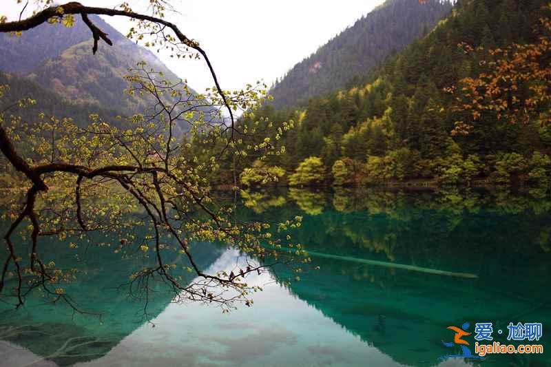 【九寨溝景點推薦】九寨溝景點介紹,九寨溝景點有哪些? 【九寨溝景點推薦】九寨溝景點介紹,九寨溝景點有哪些?