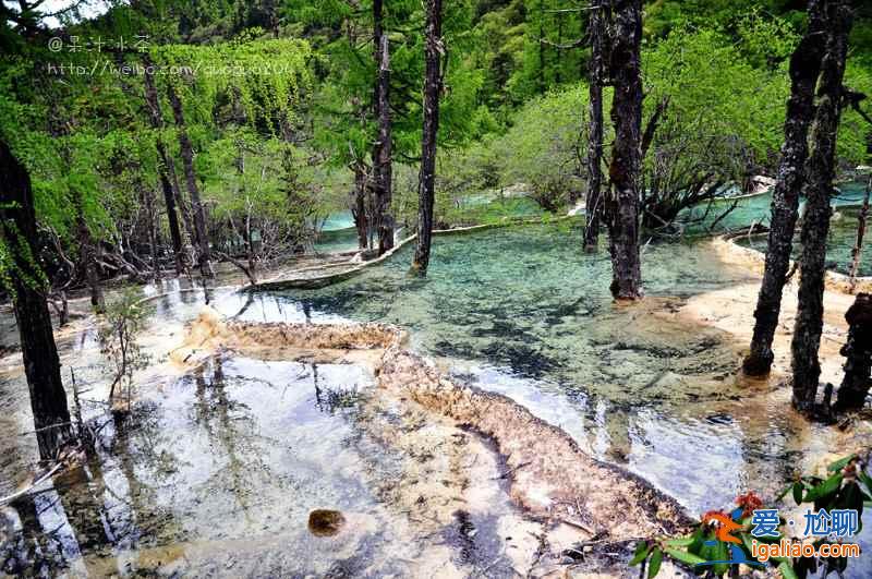 【九寨溝景點推薦】九寨溝景點介紹,九寨溝景點有哪些? 【九寨溝景點推薦】九寨溝景點介紹,九寨溝景點有哪些?