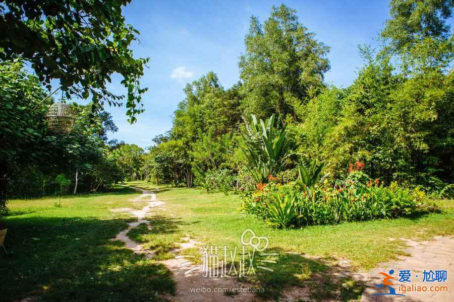 去越南玩帶美元合適還是人民幣,越南旅游的消費水平? 去越南玩帶美元合適還是人民幣,越南旅游的消費水平?