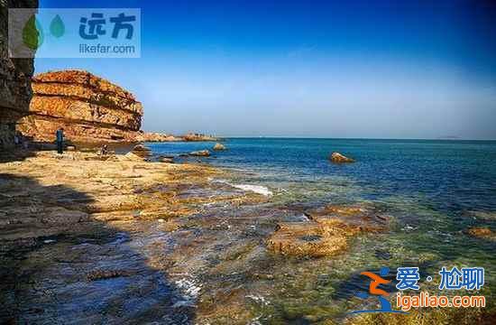 【山東長島自助游】到長島與萬只海鷗成為朋友？