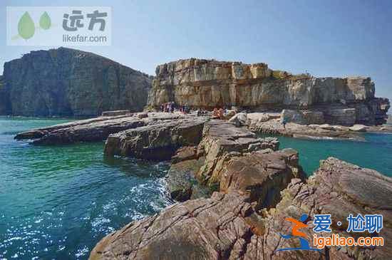 【山東長島自助游】到長島與萬只海鷗成為朋友？