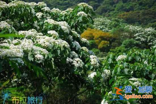 【第二次去臺(tái)灣的理由】在臺(tái)灣你可能沒(méi)做的9件事？