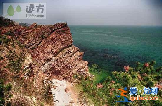 【山東長島自助游】到長島與萬只海鷗成為朋友？