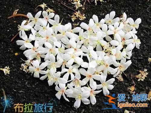 【第二次去臺(tái)灣的理由】在臺(tái)灣你可能沒(méi)做的9件事？