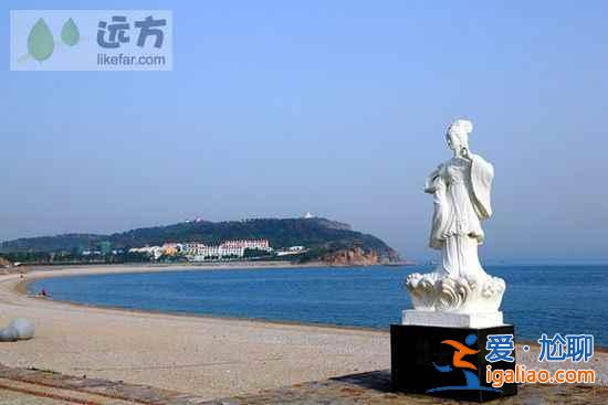 【山東長島自助游】到長島與萬只海鷗成為朋友？