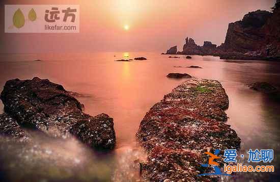 【山東長島自助游】到長島與萬只海鷗成為朋友？
