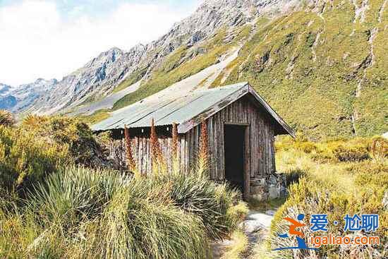 【新西蘭旅游攻略】純凈新西蘭美麗的地方？