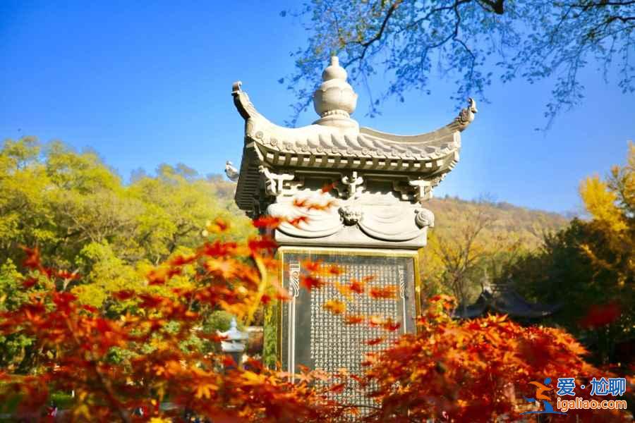 南京賞秋哪里好，南京賞秋好去處，南京賞秋攻略？