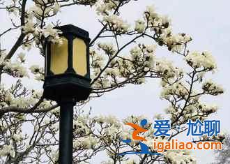 南京賞秋哪里好，南京賞秋好去處，南京賞秋攻略？