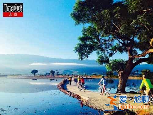 【臺灣環島騎行不是夢】“鐵路+鐵馬”車輪上環游寶島？