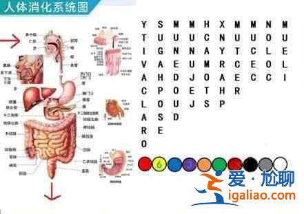 犯罪大師密室逃脫答案是什么？密室逃脫正確答案圖文一覽？
