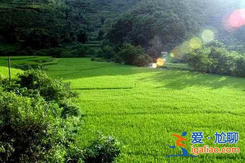 你不知道的云南隱藏景點  人少景美？