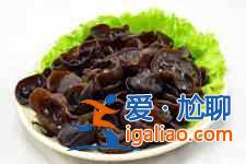 木耳做法? 木耳做法?